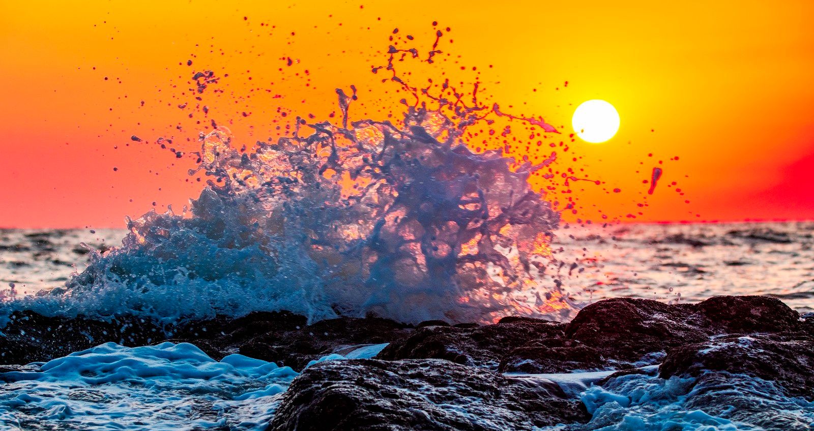 风光摄影:朝阳下的渤海湾浪花_高清图集_新浪网