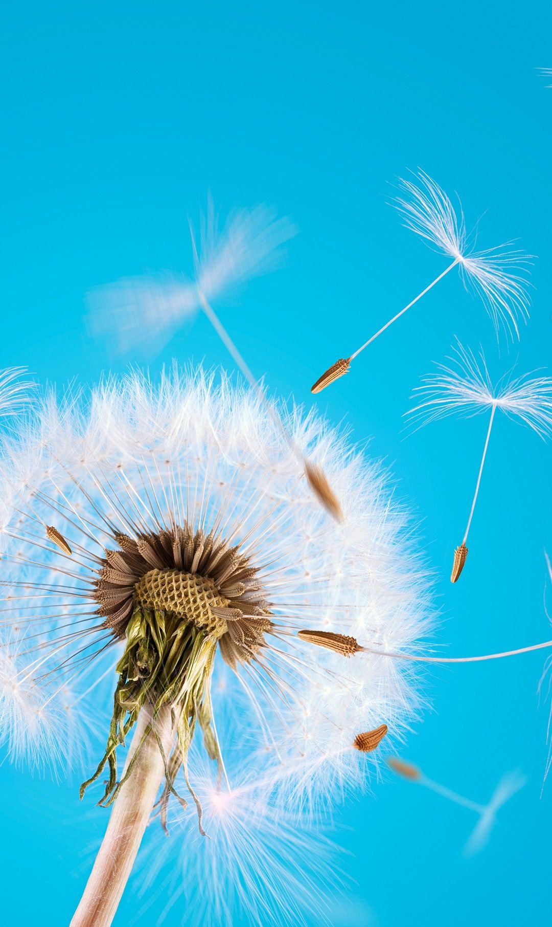 iphone 6s |如此惊艳有逼格的壁纸,一定能够打动你!