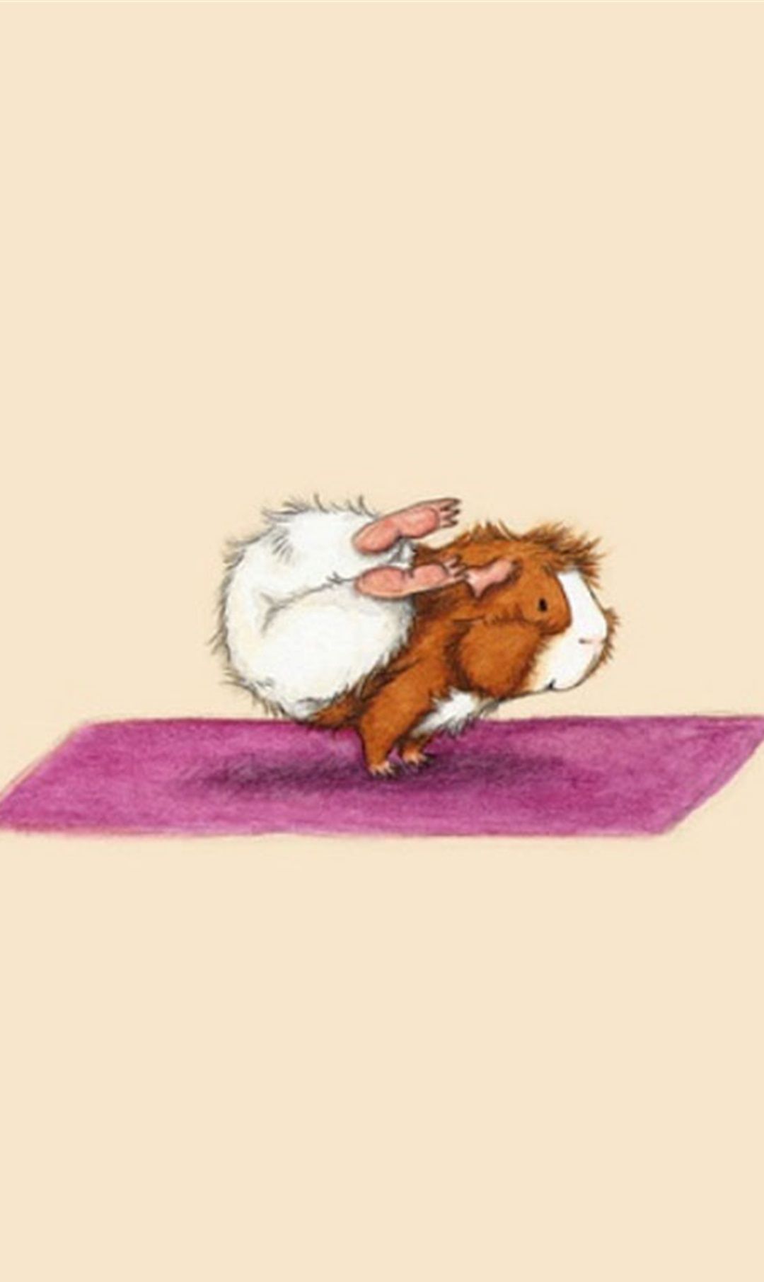 萌趣可爱瑜伽小动物手机壁纸,分辨率1080x1920_高清图集_新浪网