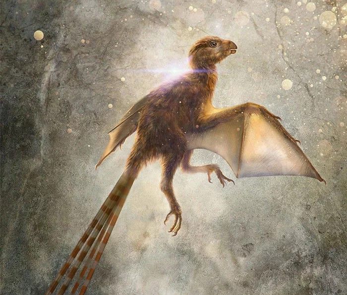 为国争光中国首先发现蝙蝠恐龙初步证实鸟类确由恐龙进化