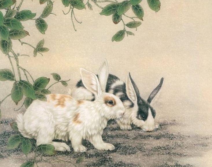 「屬兔」的圖片搜索結果
