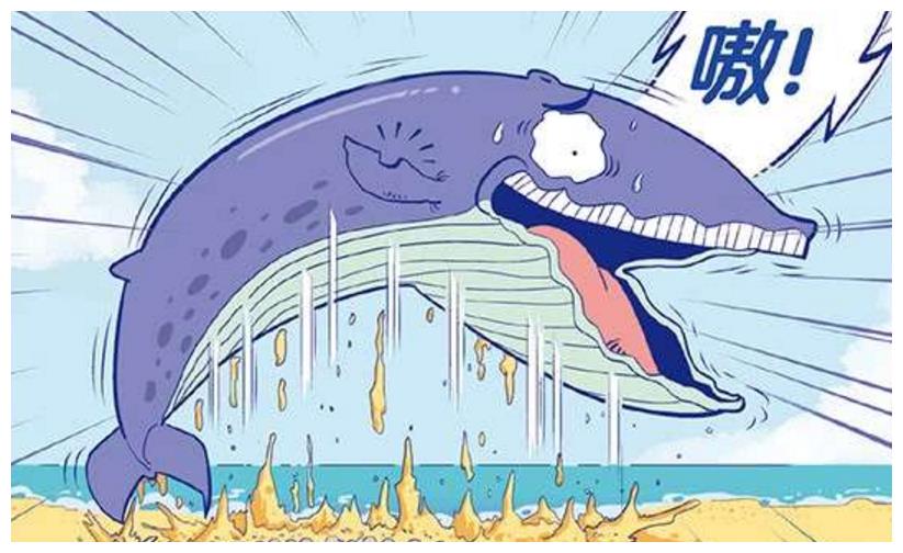 卡通鲸鱼搁浅图片