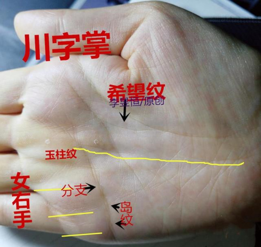 手相:爪字纹,一马平川,天纹朝指,十人九富!