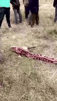 搞笑gif动态图:美女你.竟然尿了!