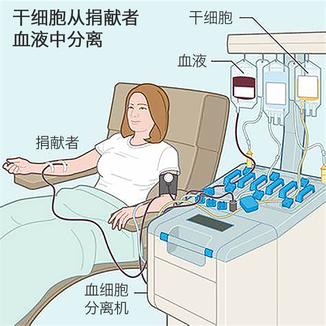 骨髓移植前突遭悔捐6岁地贫女童伤心大哭申请时请深思熟虑