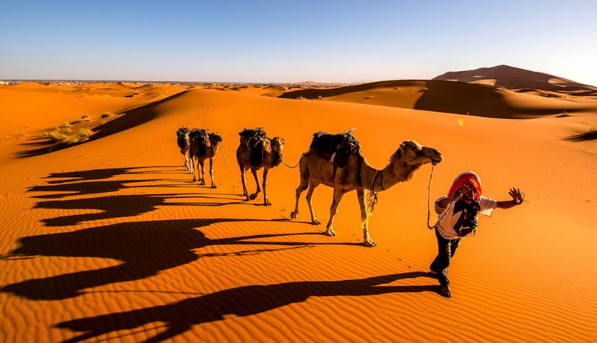 太阳照得最多的地方,神秘的金色撒哈拉沙漠!