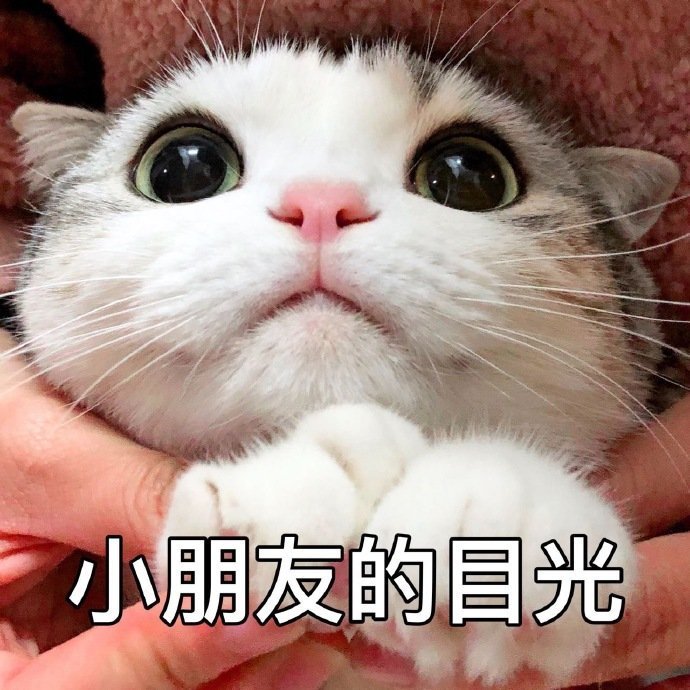 表情包:小朋友的目光