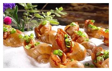 美食推荐:普洱茶炖排骨,盐焗蜗牛,蜜香五花肉制作方法