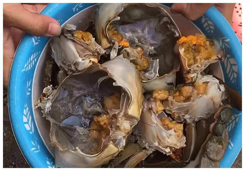 媳妇买来一盆"大蝤蠓",不煮不蒸直接端上桌,没勇气下口