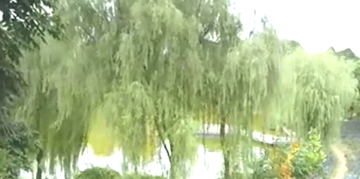 白发 无忧漫夭狂撒狗粮 无忧 那便嫁给我吧 做我唯一的王妃 白发 无忧漫夭狂撒狗粮 无忧 那便嫁给我吧 做我唯一的王妃