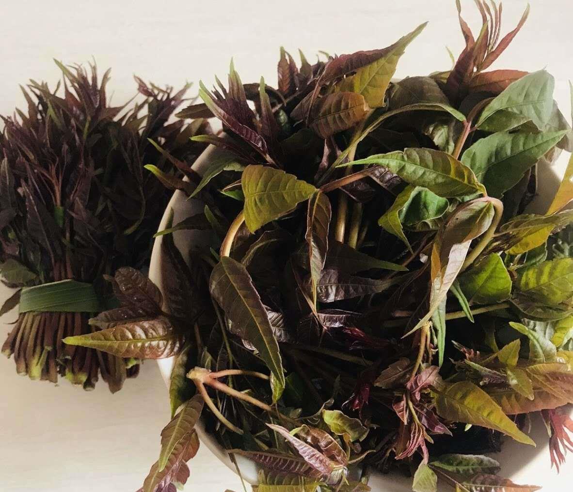 能吃的树叶香椿即将上市你闻到香味了吗