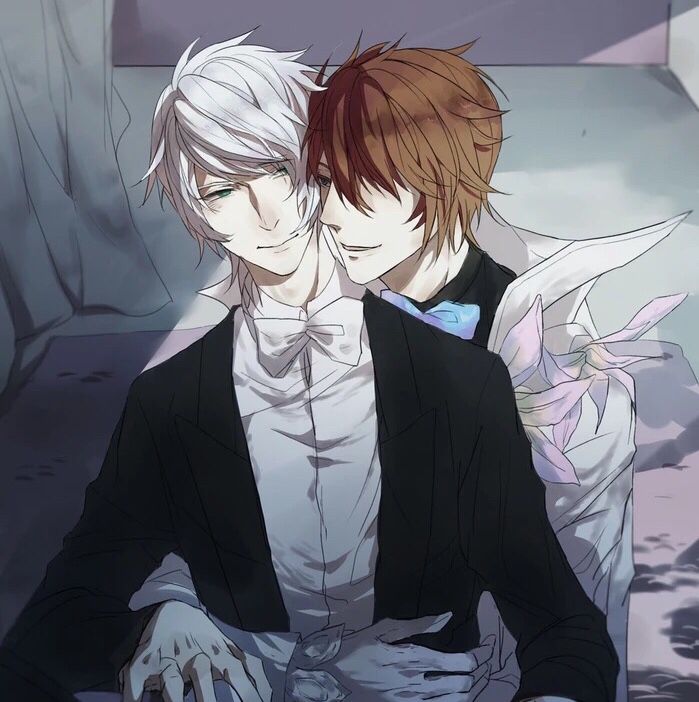 王者荣耀赵云诸葛亮同人图欣赏有一种无奈叫做性别不合适