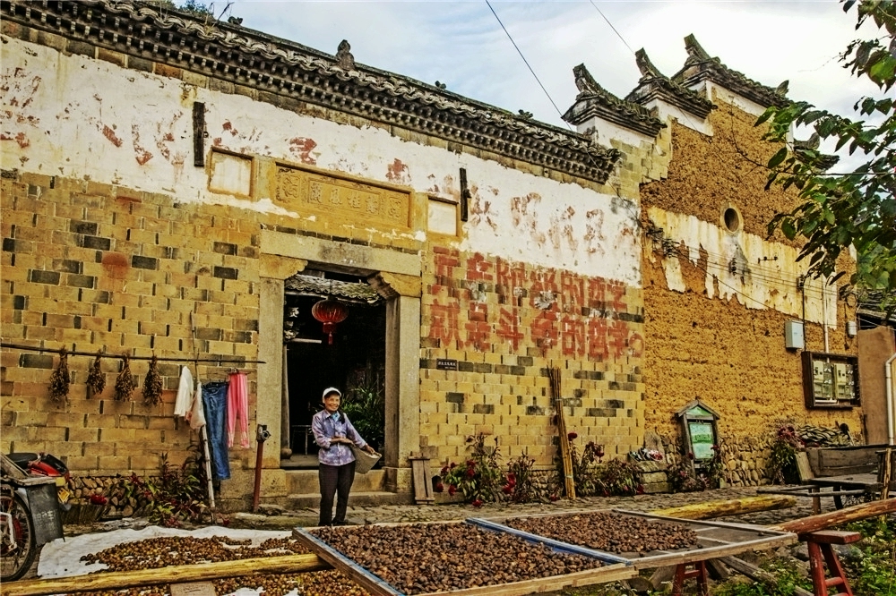"古韵茶香 田园松阳"——金粉世家 巾帼担当