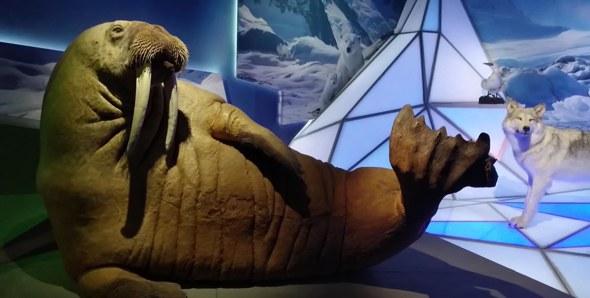 最具沉浸感的博物馆：戛纳海底生态博物馆