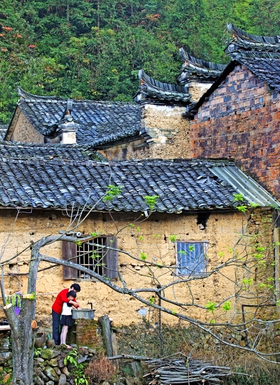 "古韵茶香 田园松阳"——金粉世家 巾帼担当