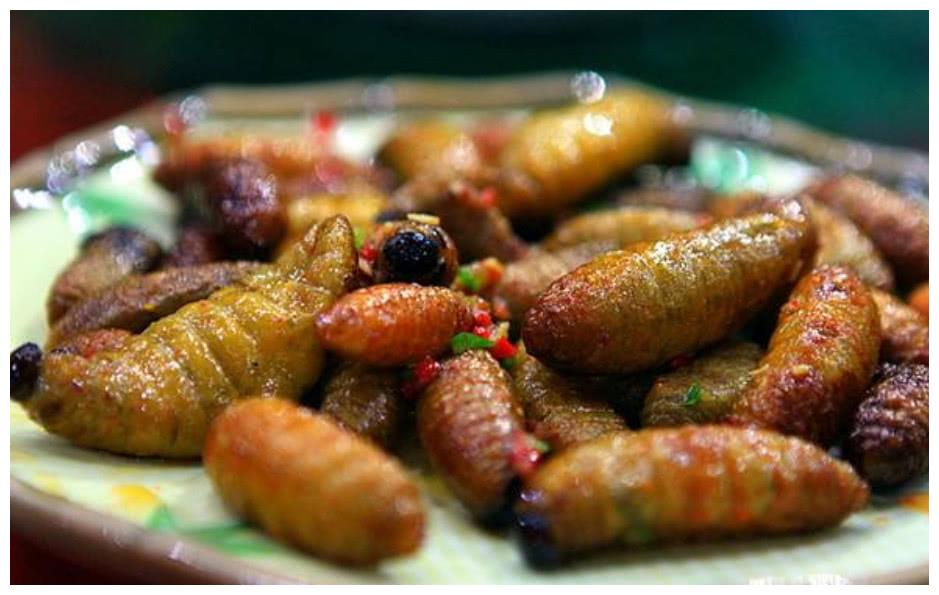 广宁很抢手的"笋蛆",当地人偏爱红烧吃法,如此重口味你敢吃吗