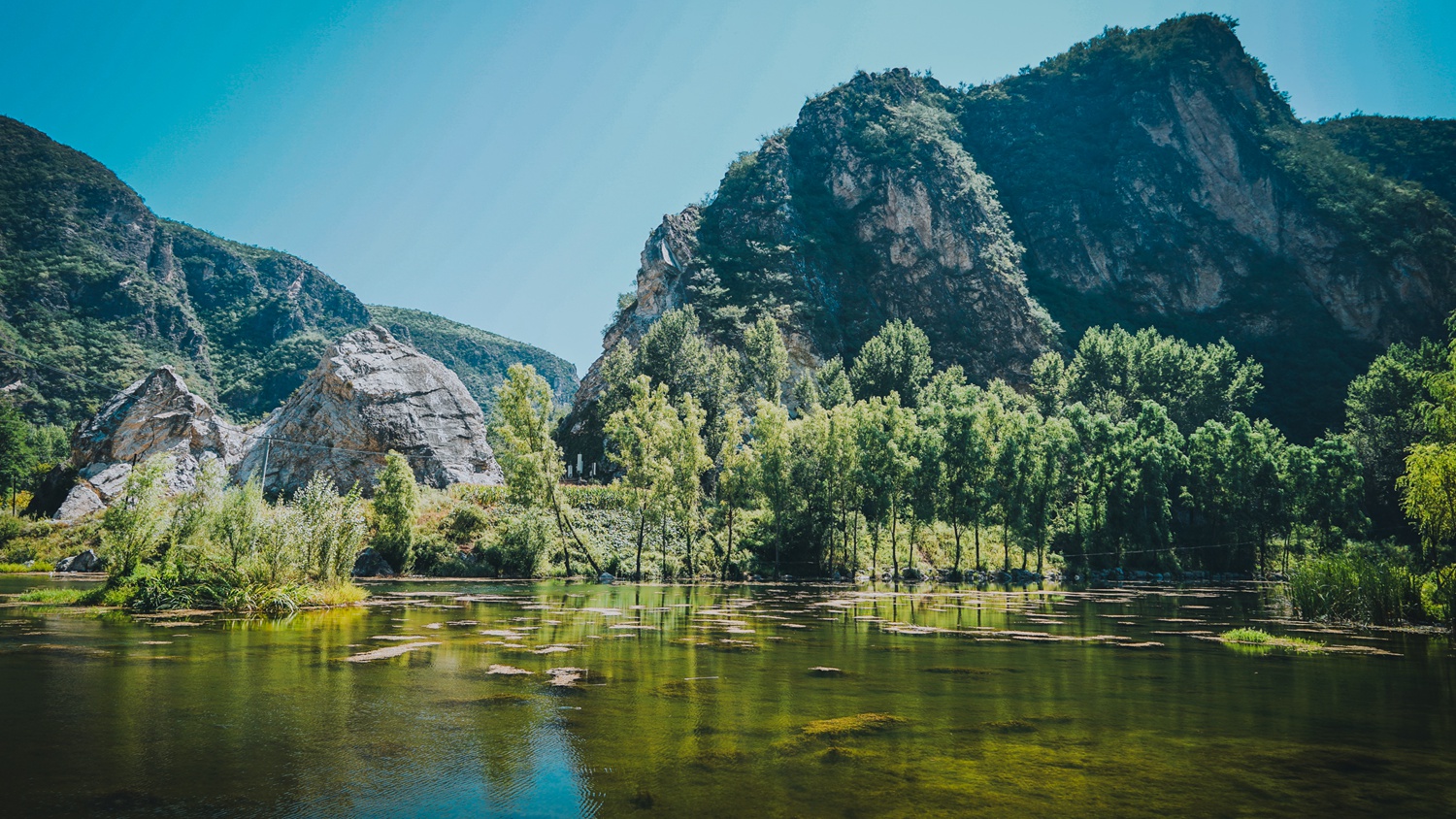 百里山水画廊-四季花海游记