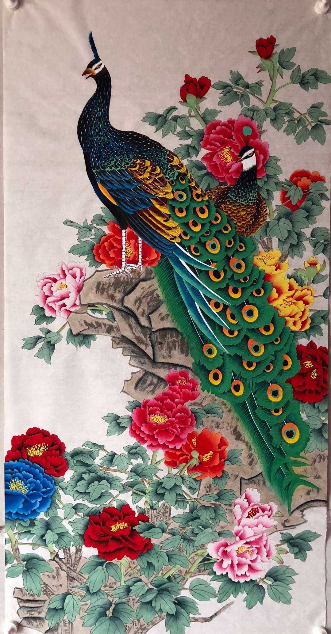 富贵孔雀图富贵孔雀神圣高洁孔雀成双寓意好事成双家庭和睦