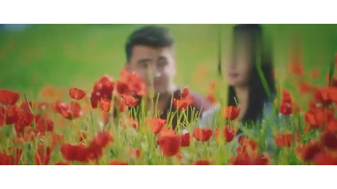 好听的乌兹别克斯坦歌曲 Alvonlolalar蓝色郁金香 好听的乌兹别克斯坦歌曲 Alvonlolalar蓝色郁金香