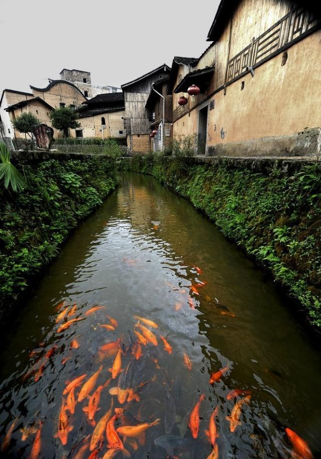 自驾福建鲤鱼溪,福建最美乡村,福建十大旅游风景区