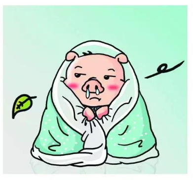 "三九天",鼻子也要"冻哭"啦