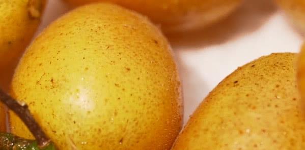 日本不引进核武器