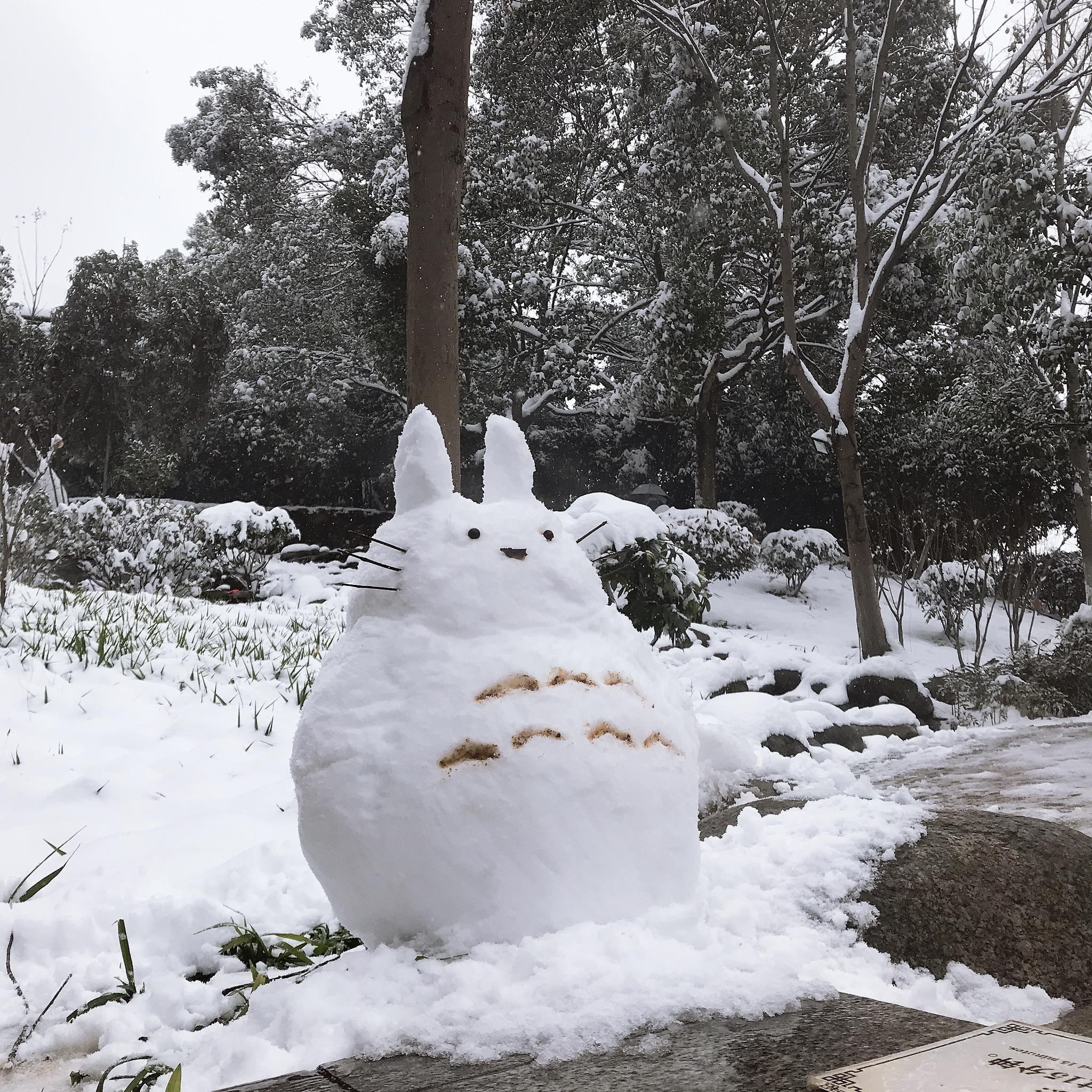 2019年的第一场雪,比以往都来的早一些|第一场雪_新浪新闻