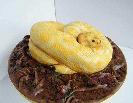 还能好好的过生日,吃蛋糕吗?切蛋糕先切那两条狗腿是几个意思?