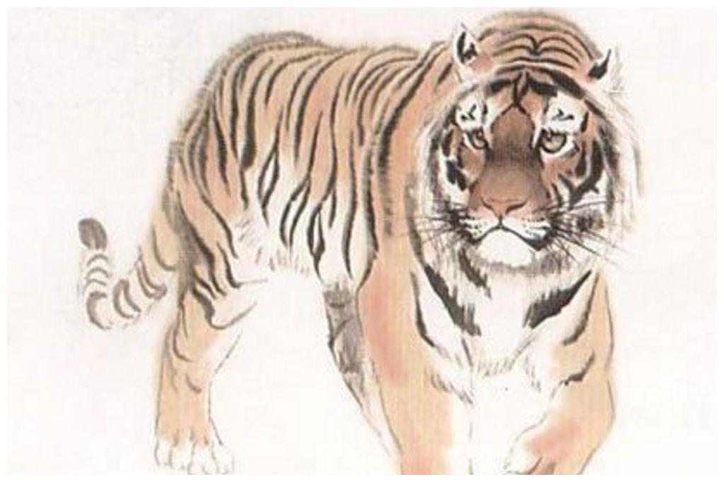 生肖虎女性2025运势(属虎2024年运势及运程女性)