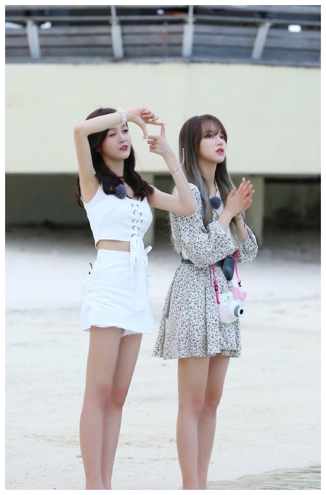 《闺蜜的完美旅行》程潇下海与鲨鱼互动 宣仪笑裂秒变表情包