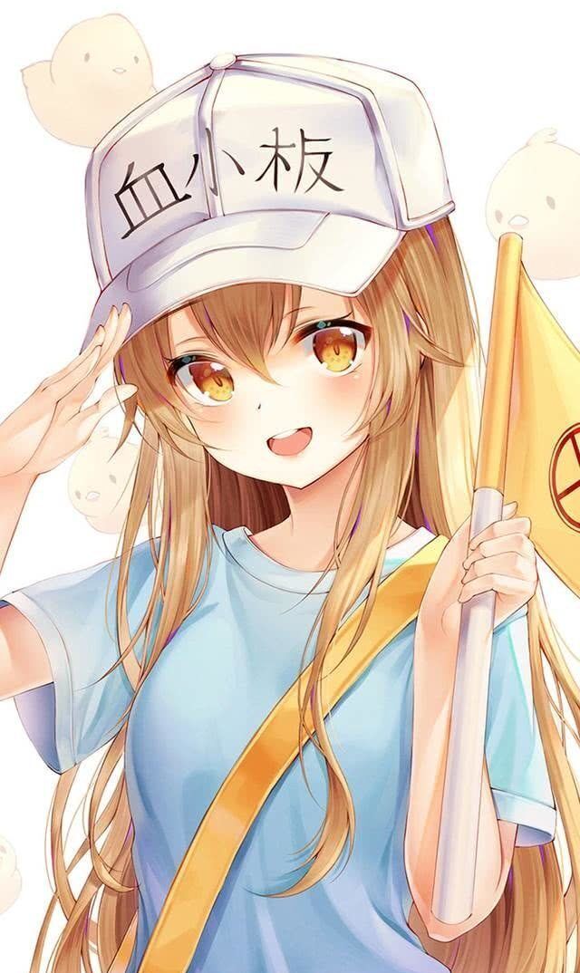 网址备案怎么查