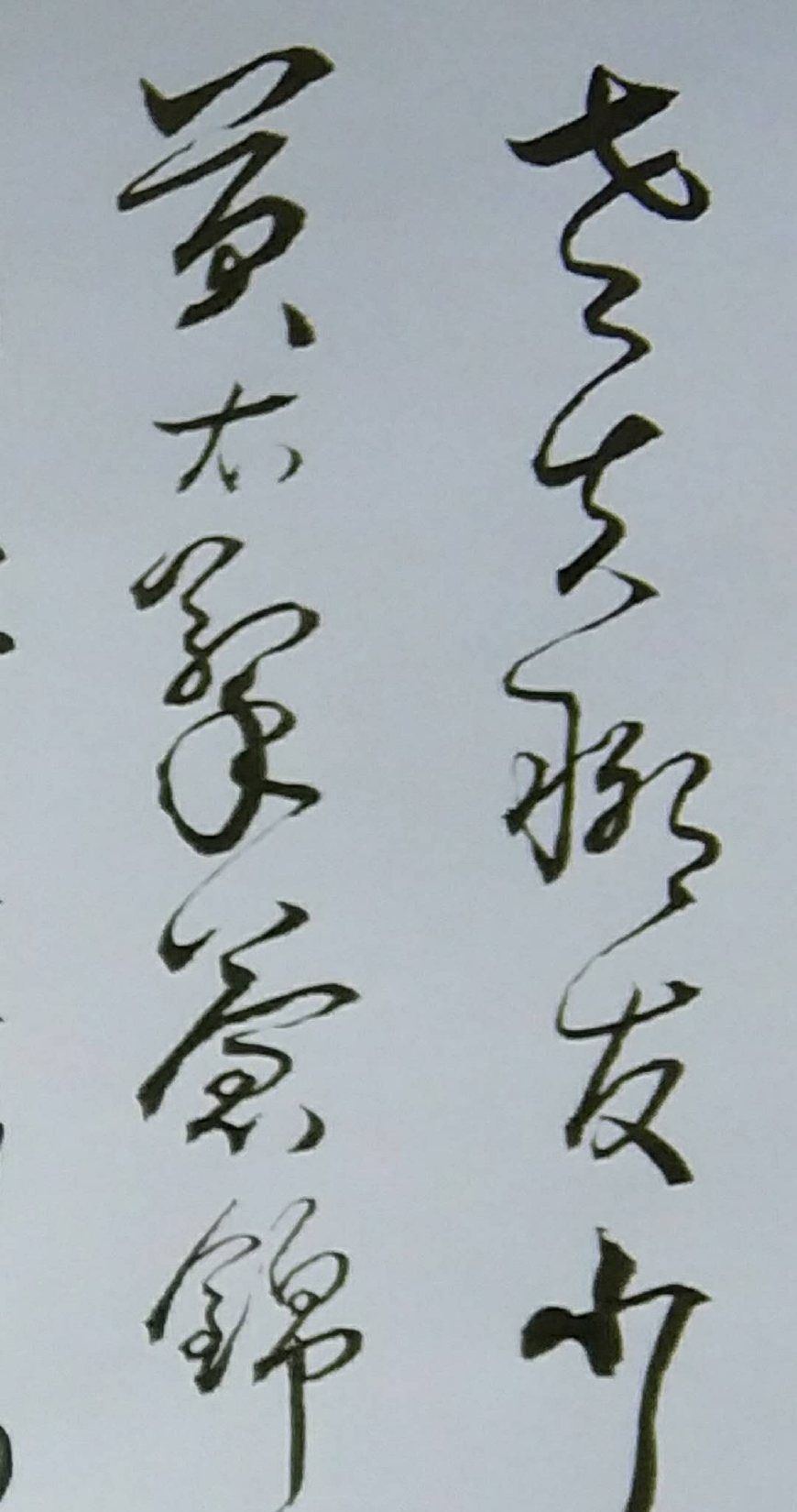 云南书法家胡维平草书作品苏轼江城子密州出猎