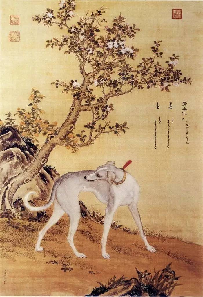清朝宫廷画家郎世宁画作大全乾隆魏璎珞画像皆出其手