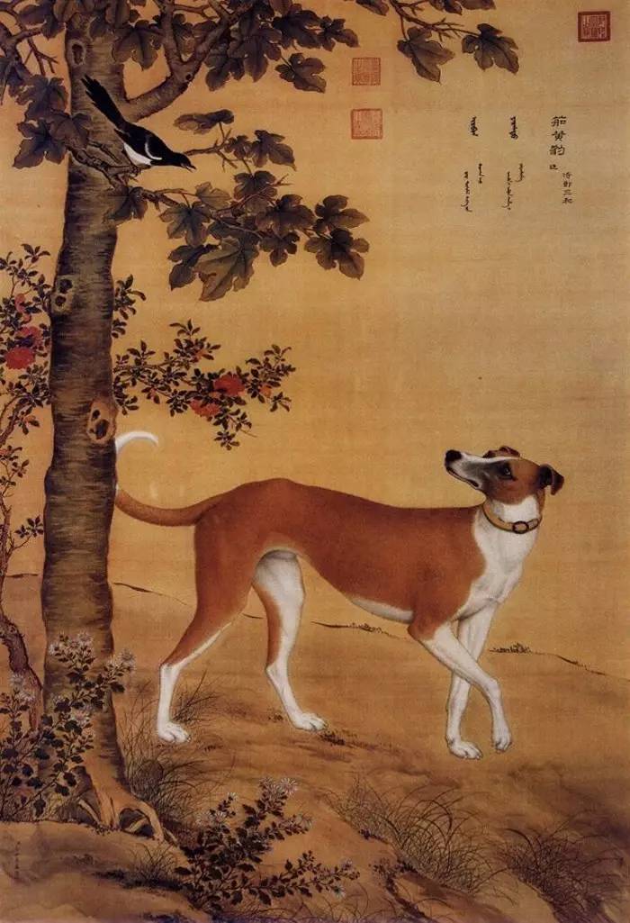 清朝宫廷画家郎世宁画作大全乾隆魏璎珞画像皆出其手