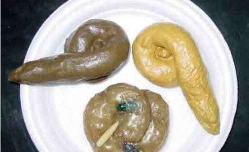 日本的大便美食蒸煮炸样样都行材料源于美少女们