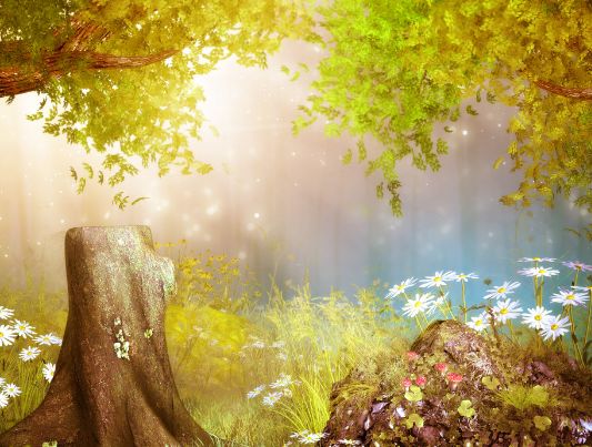 美图:梦幻唯美的森林场景一直是我的最爱