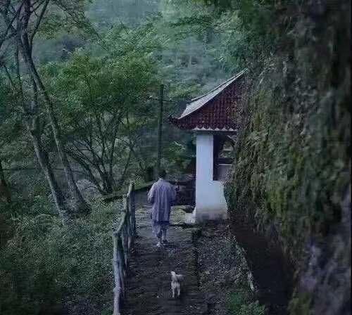 学会放下,放下是一种智慧