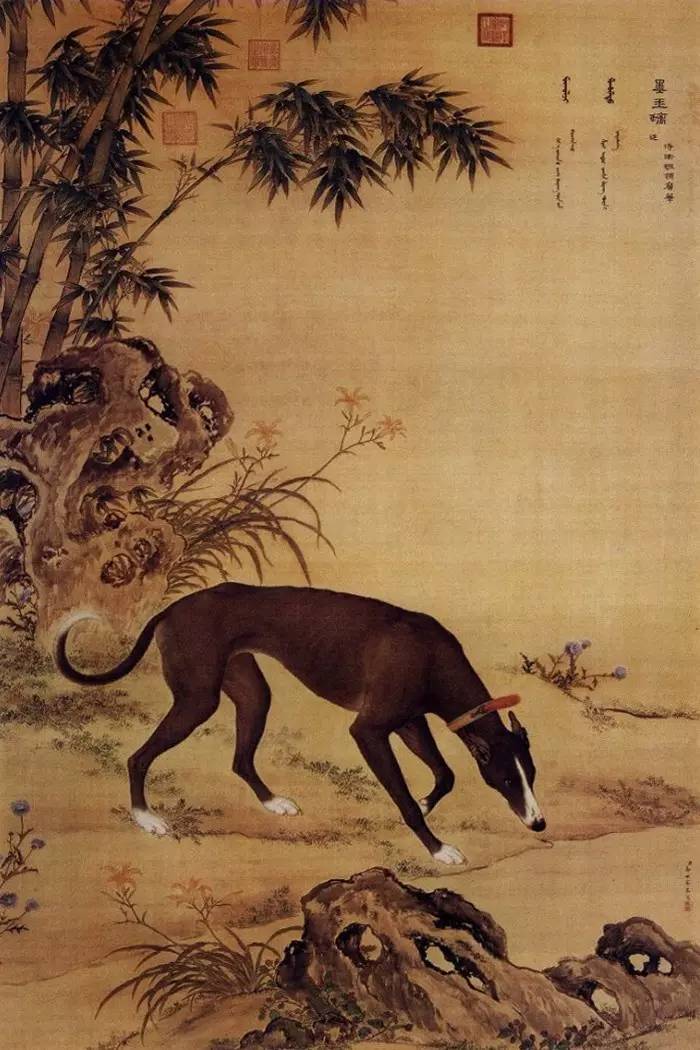 清朝宫廷画家郎世宁画作大全乾隆魏璎珞画像皆出其手