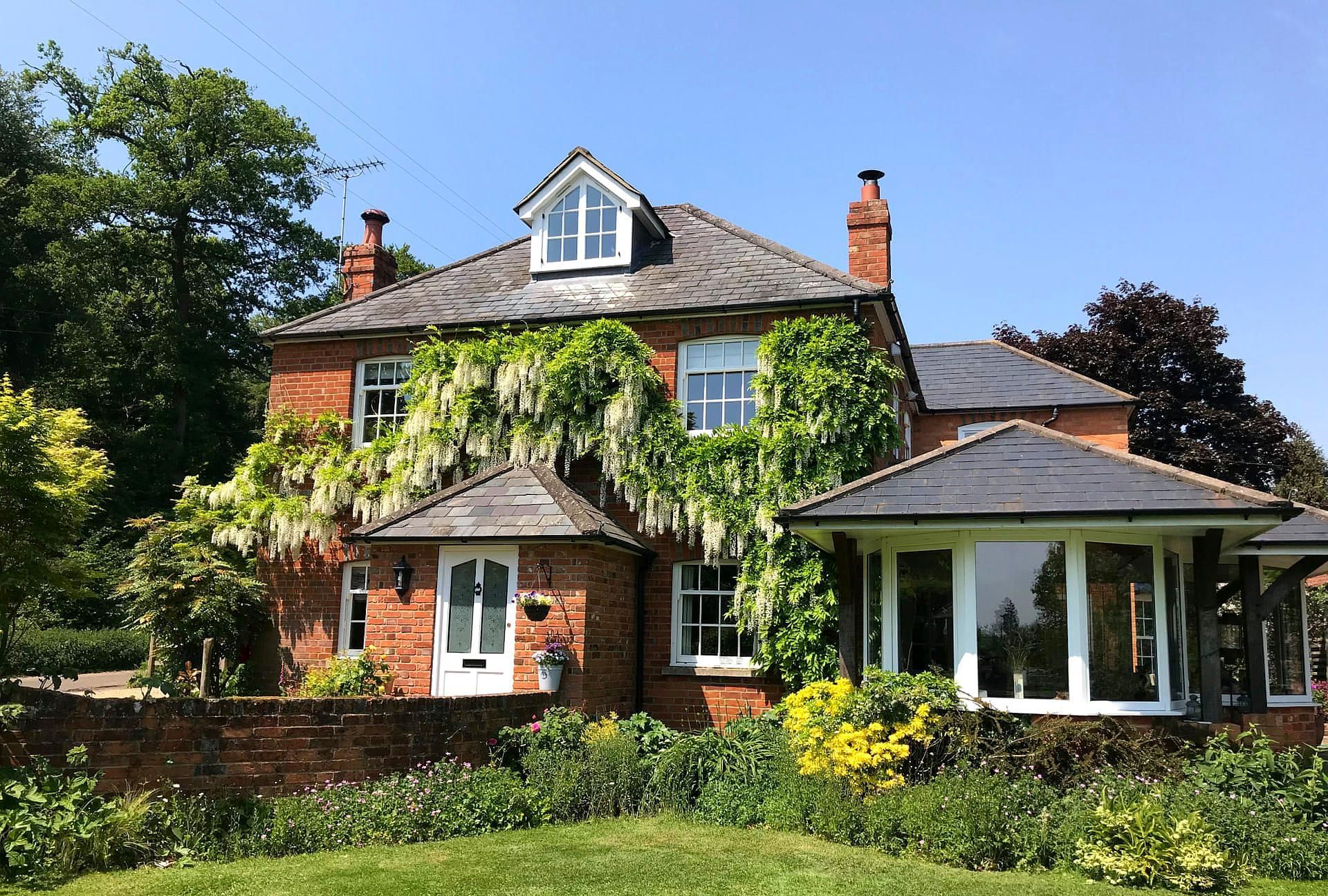 盛开的奇观:5张紫藤屋的美景