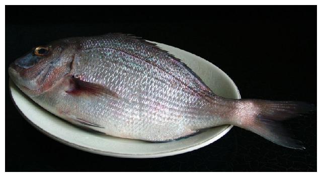 齐鲁名菜清蒸加吉鱼