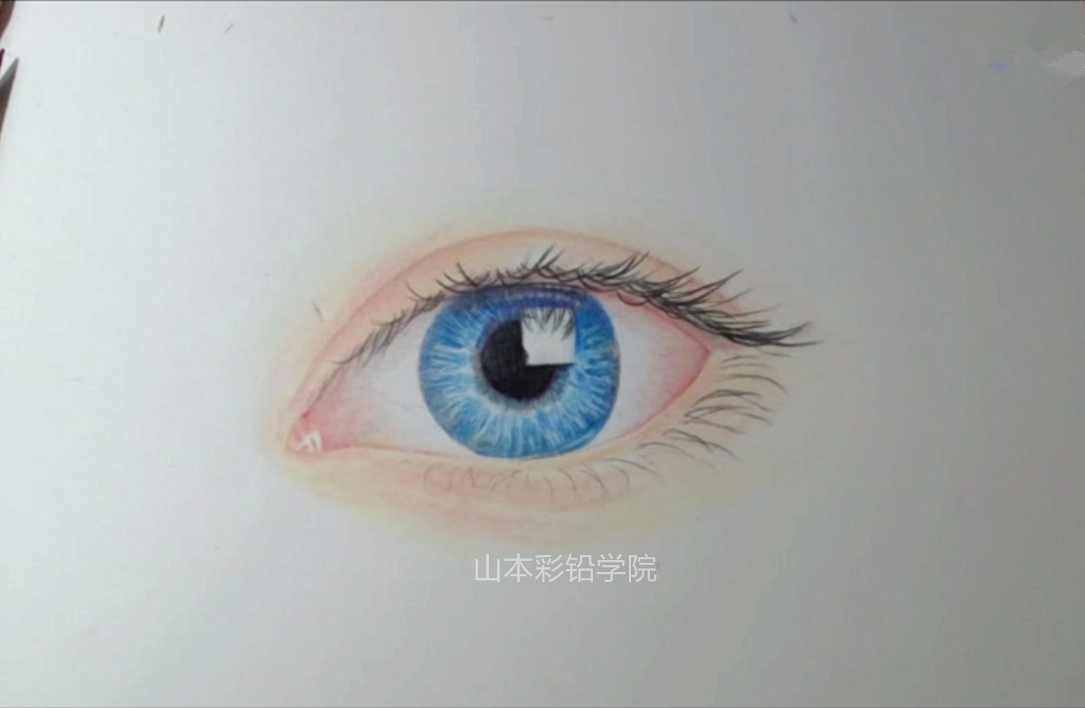 山本彩铅基础教程-眼睛起型及色彩分析|彩铅|素描|彩铅画_新浪新闻