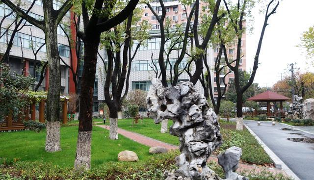 无锡市湖滨中学风采系列:选择——在人生的岔路口