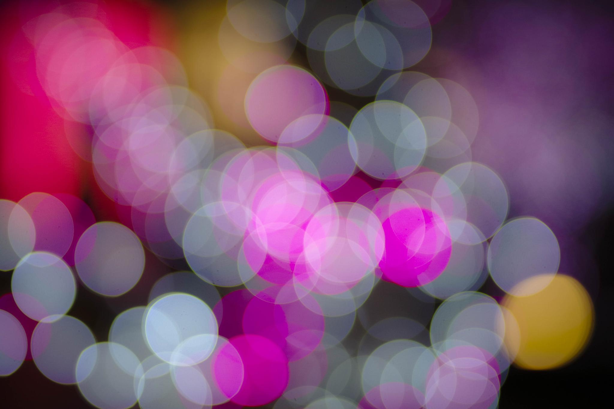 失焦拍摄-大光圈镜头效果