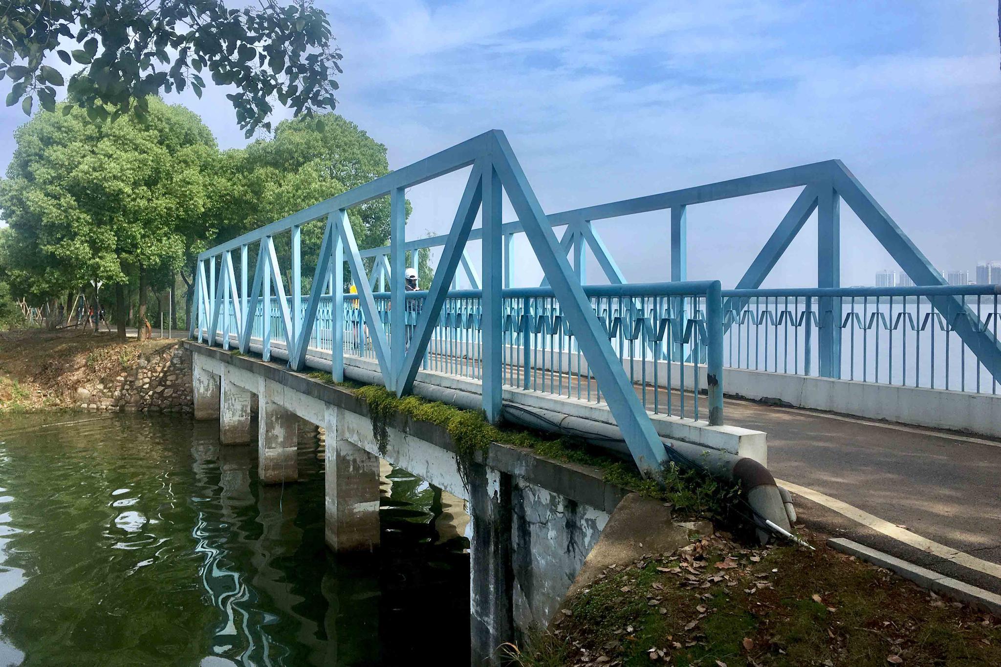 形形色色的桥【武汉 江夏区 汤逊藏龙岛国家湿地公园】