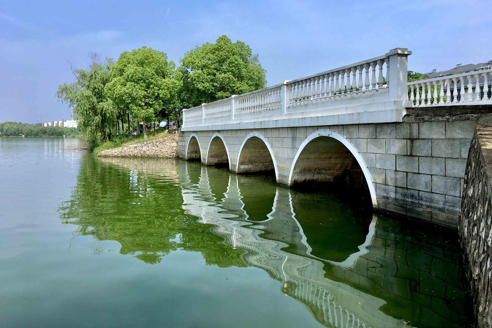 形形色色的桥【武汉 江夏区 汤逊藏龙岛国家湿地公园】