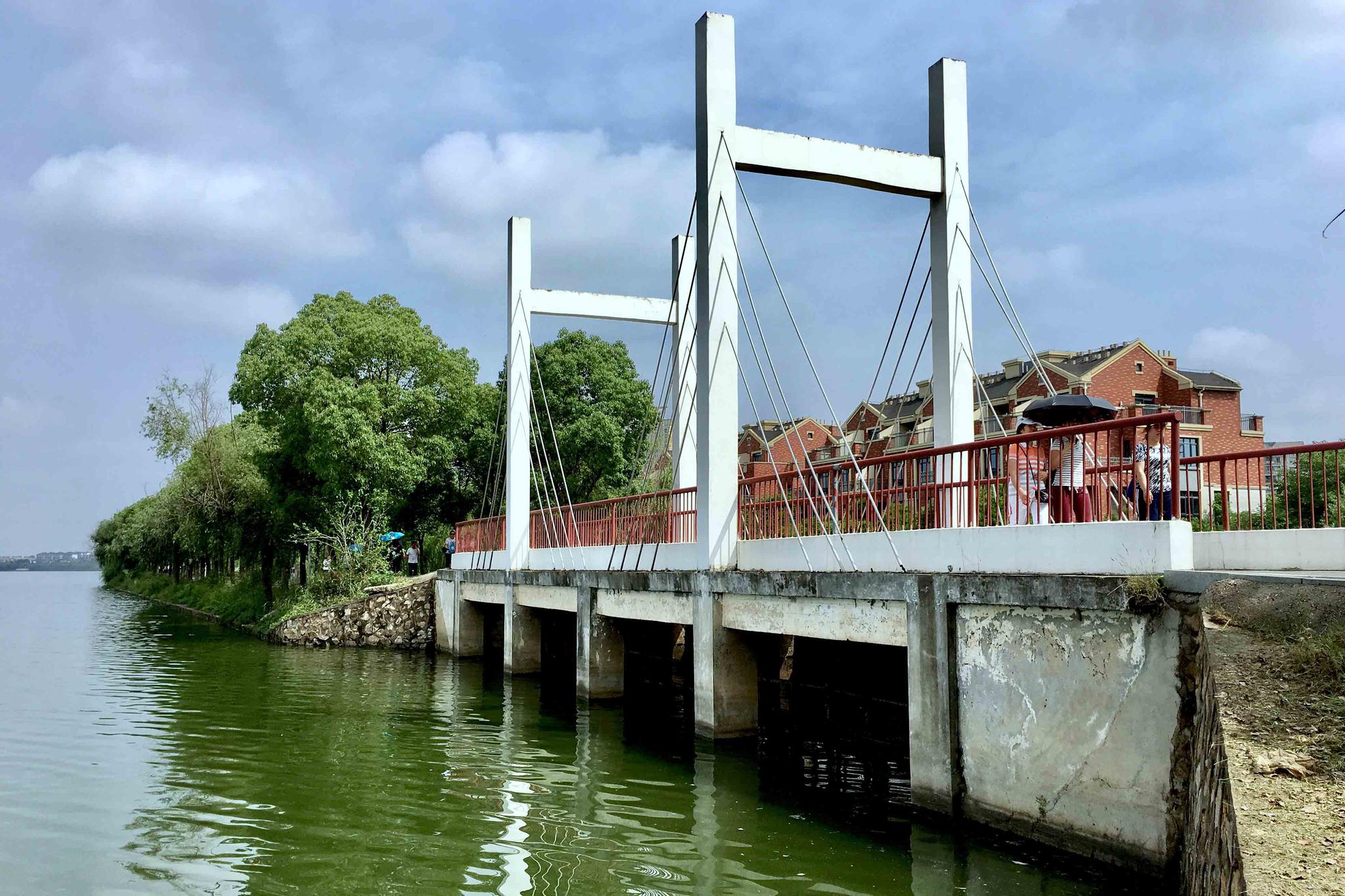 形形色色的桥【武汉 江夏区 汤逊藏龙岛国家湿地公园】