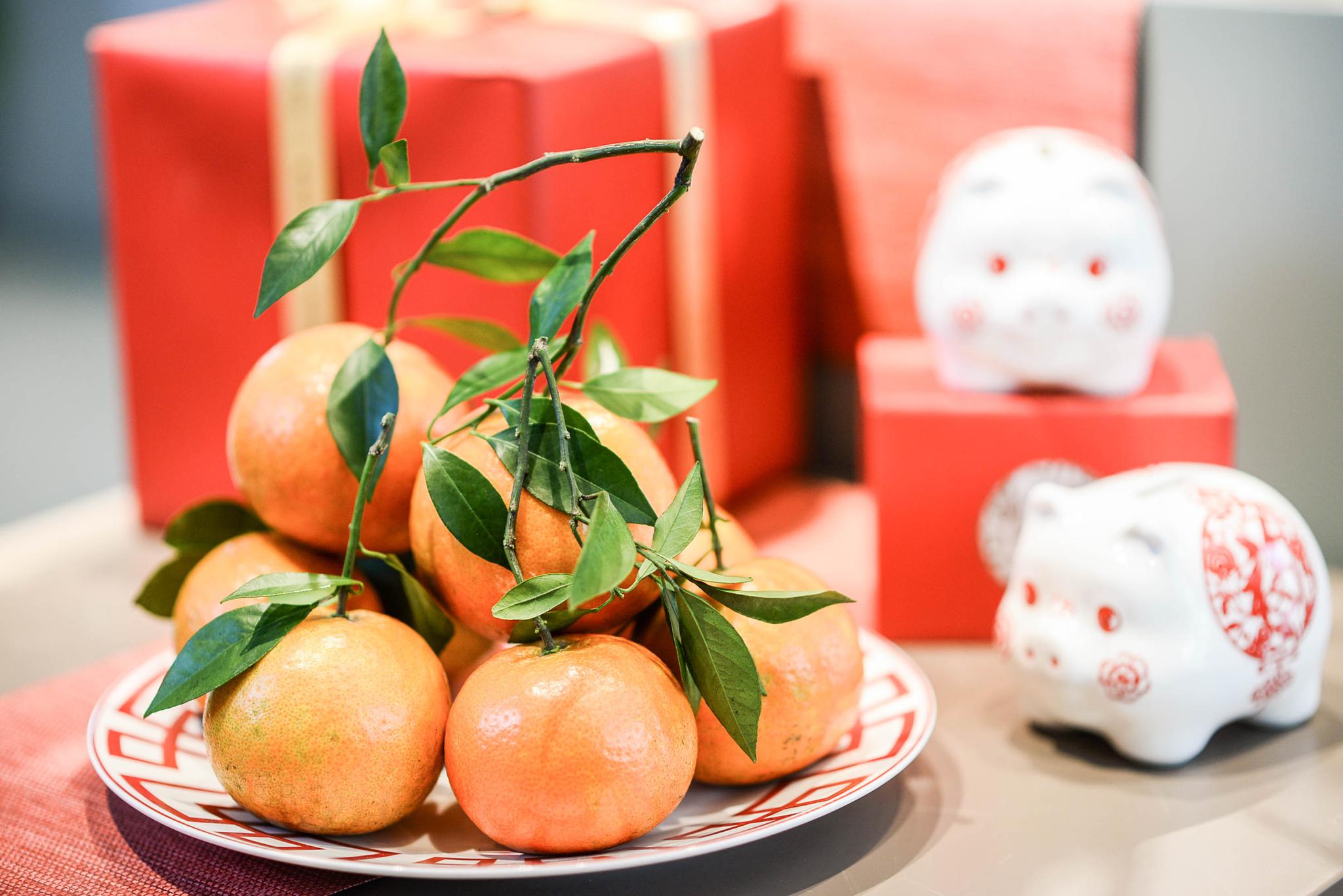 正文                             除了鲜吃,柑橘还可以通过蒸制熬煮