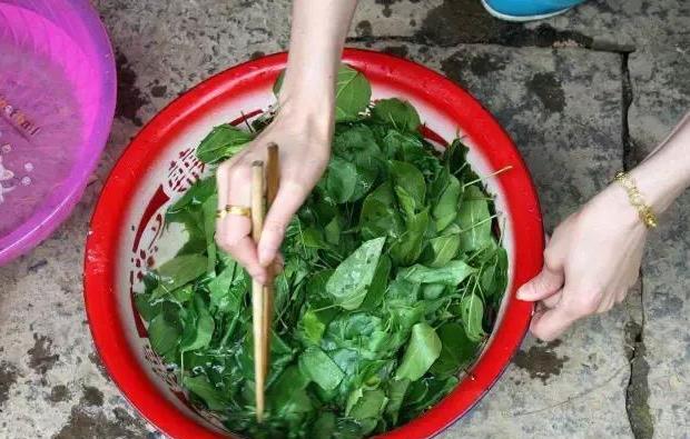 今天我们要说的观音豆腐是浙江浦江的特产