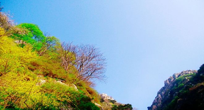 人生很长 风景很远 只有出去走走你才知道世界有多大 人生很长 风景很远 只有出去走走你才知道世界有多大