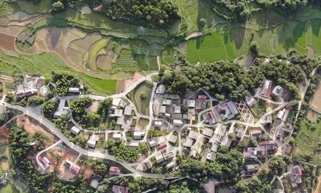 中国江西一偏远小山村,被全世界人民膜拜|图书馆|夏木|乡村|木塘|塘村_新浪新闻